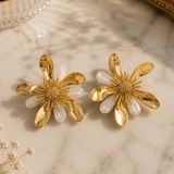 PENDIENTES DE CONCHA